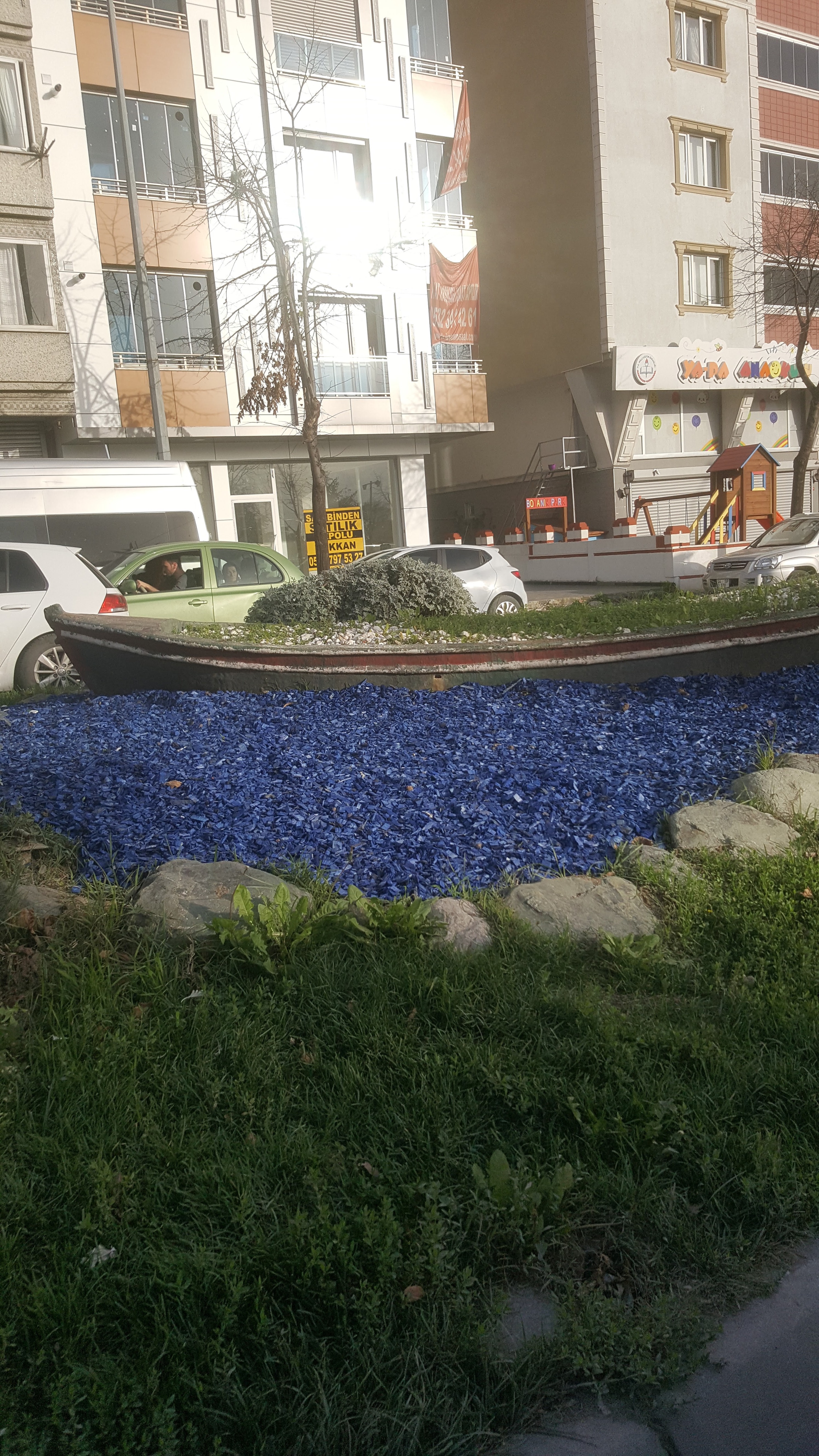 Renkli Ağaç Yongası