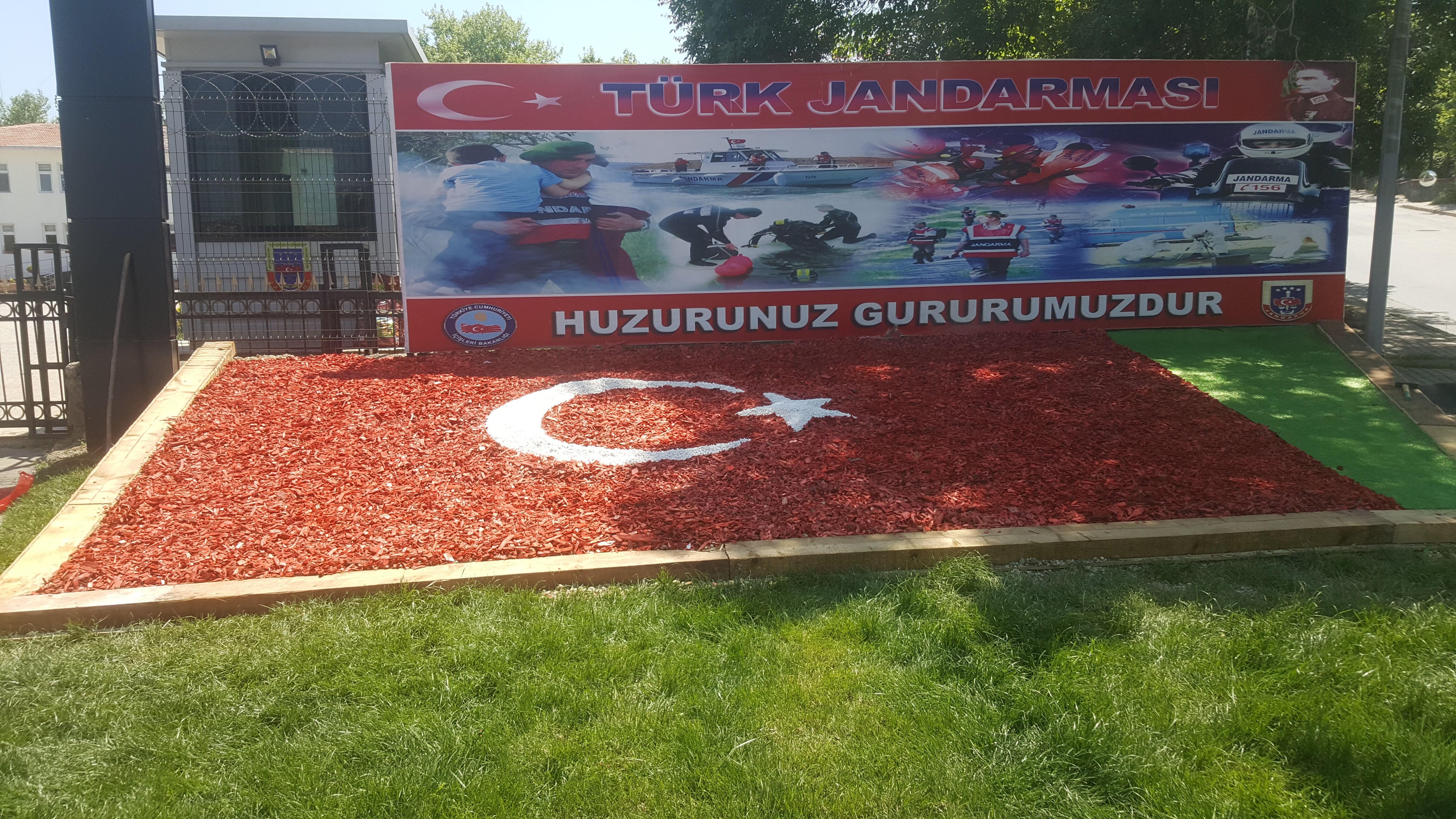 Renkli Ağaç Yongası