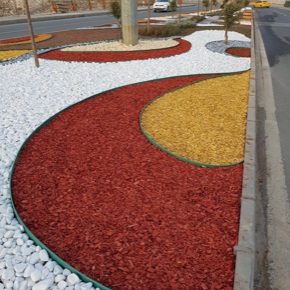 Renkli Ağaç Yongası