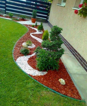 Renkli Ağaç Yongası