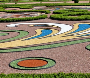 Renkli Ağaç Yongası