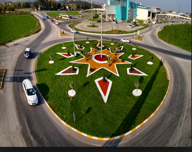 Renkli Ağaç Yongası