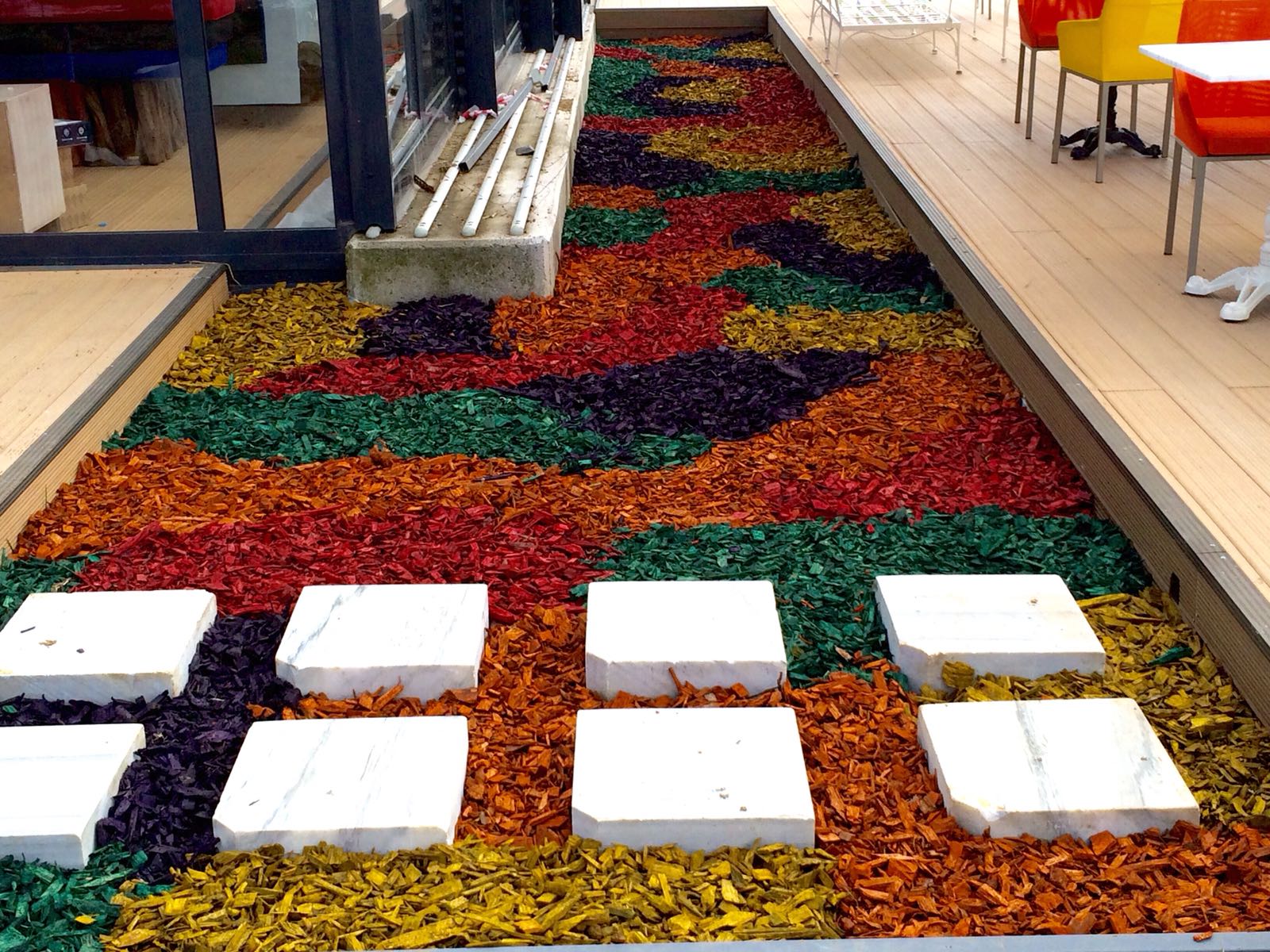 Renkli Ağaç Yongası