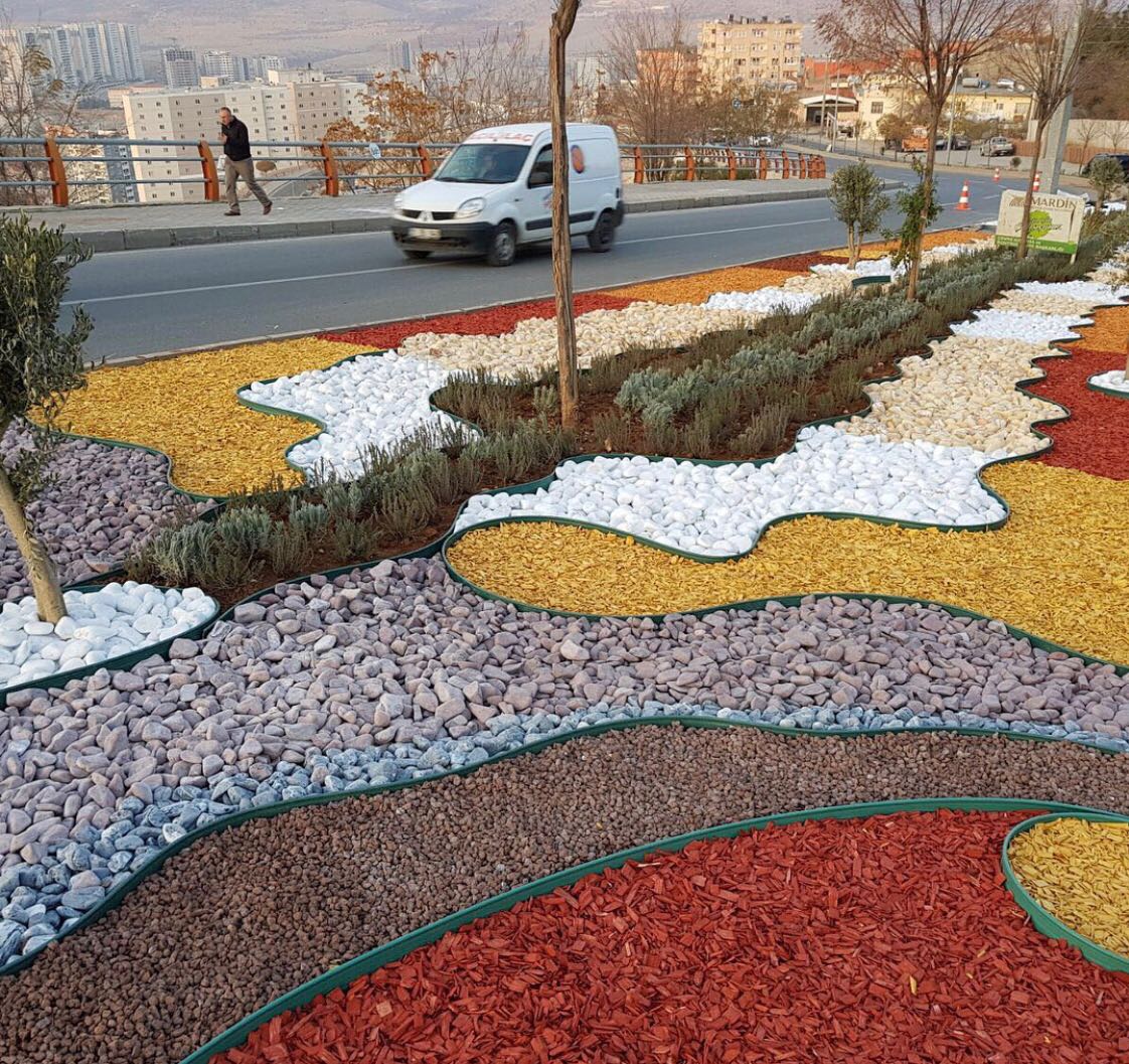 Renkli Ağaç Yongası