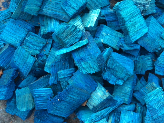 Renkli Ağaç Yongası