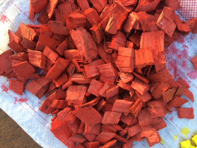 Renkli Ağaç Yongası