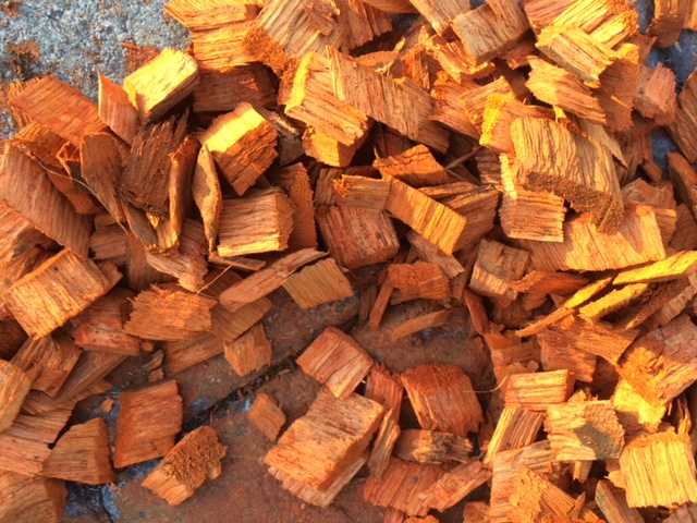 Renkli Ağaç Yongası