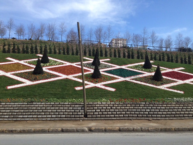 Renkli Ağaç Yongası